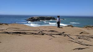 Gualala Point Island