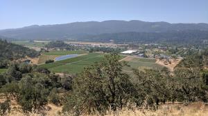 One Mile View