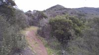 Manzanita Trail