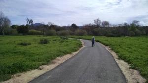 Trail View