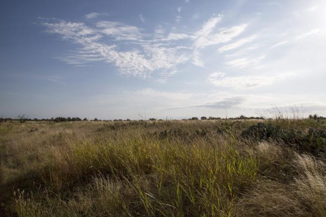 Open Fields in the North Shore