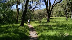 Trail View
