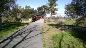Bridges and vineyards