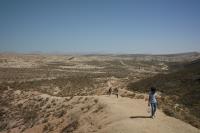Trail Up To The Ridge