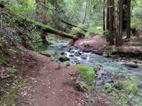 The trail continues on the other side of Ritchey Creek, but some slick rocks and unsteady footing made us decide to turnaround here instead.