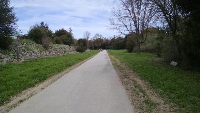 Trail View