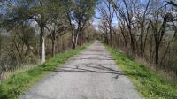 The trail surface on the south shore of Santa Rosa creek is coarse gravel.  Easy enough to walk on and it discourages some cyclists.