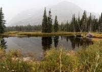 A Still Pond