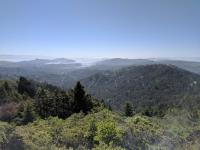 What a view!