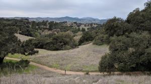 Crisscrossing Trails