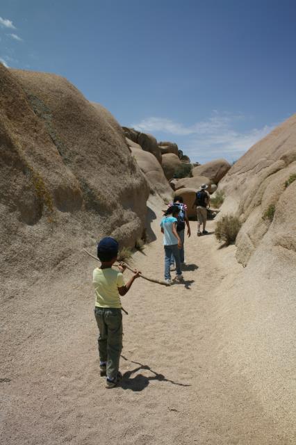 View of the trail