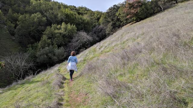 Side Trail