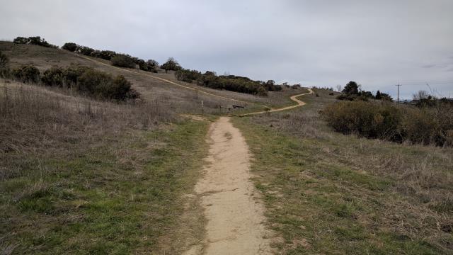 Trail View
