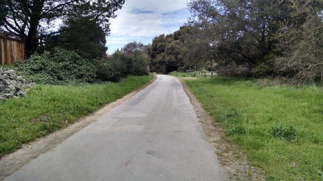 Paved path