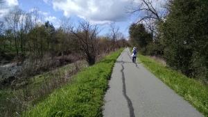 North Trail View