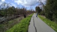 North Trail View