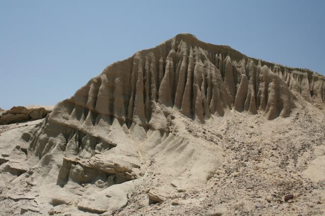 Another View From The Trail