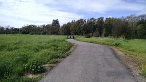 Easy Path