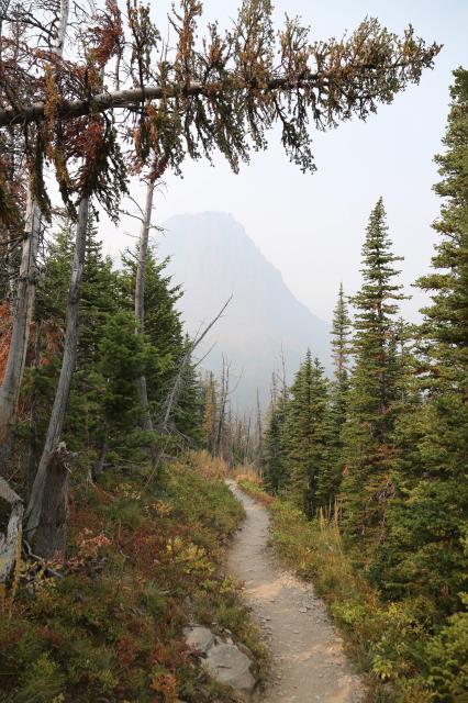 Two Medicine Trail