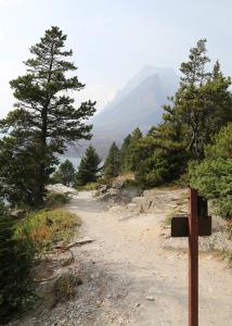 Easy Trail to Hike