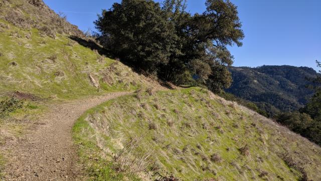 Trail View