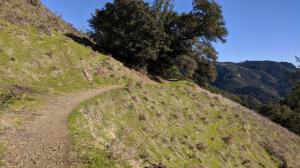 Trail View