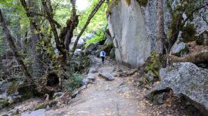 Rocks