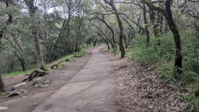 Easy Path