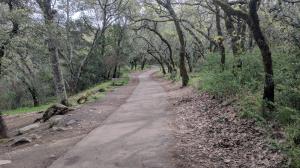 Easy Path