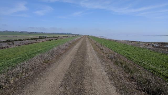Trail View