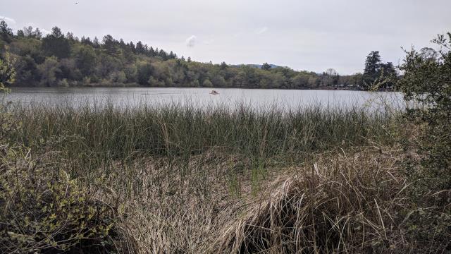 Lake Ralphine