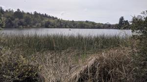 Lake Ralphine