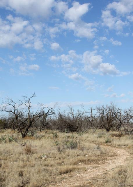 A small portion of Winding Snake Trail