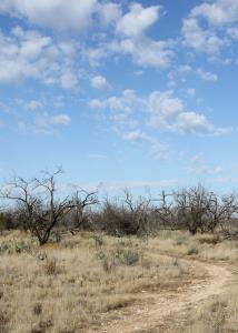 A small portion of Winding Snake Trail