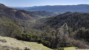 Napa Valley