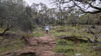 The Spur 6 Trail had rocky, lumpy features and rock piles that reminded us of quarry locations that we'd seen elsewhere.