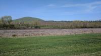 Vineyard