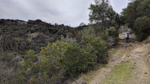 Trail View