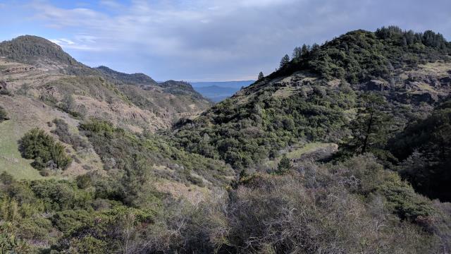 Swartz Canyon