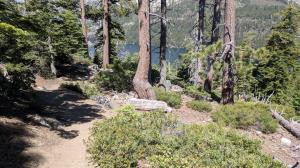 Trail View