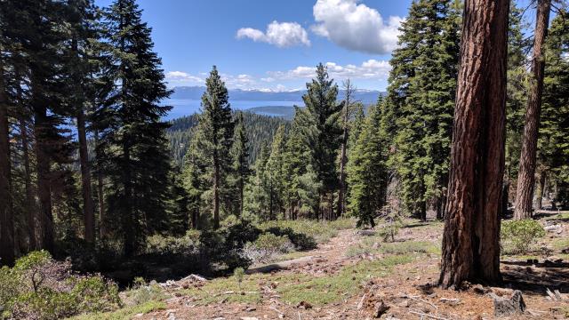 Trail View