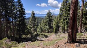 Trail View