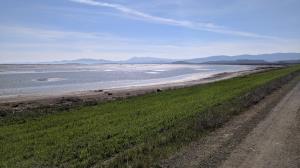Marin Mountains