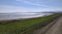 A view from the Sears Point Trail looking towards the mountains in Marin County, including Mount Tam.