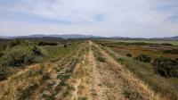 Sonoma Baylands Trail