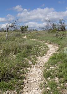 Not as smooth as silk but fairly easy to hike on.