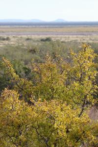 Not many Fall Colors Yet!