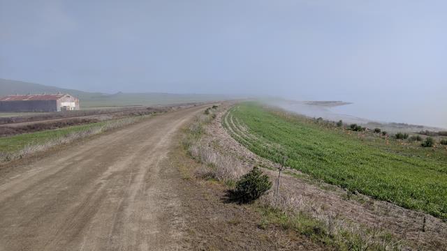 Fog remnants