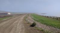 Fog remnants