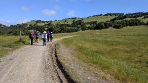 San Andres Fire Road